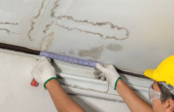 Reliable Mold Remediation contractor in Hempstead, TX by Local Water Damage Repair
